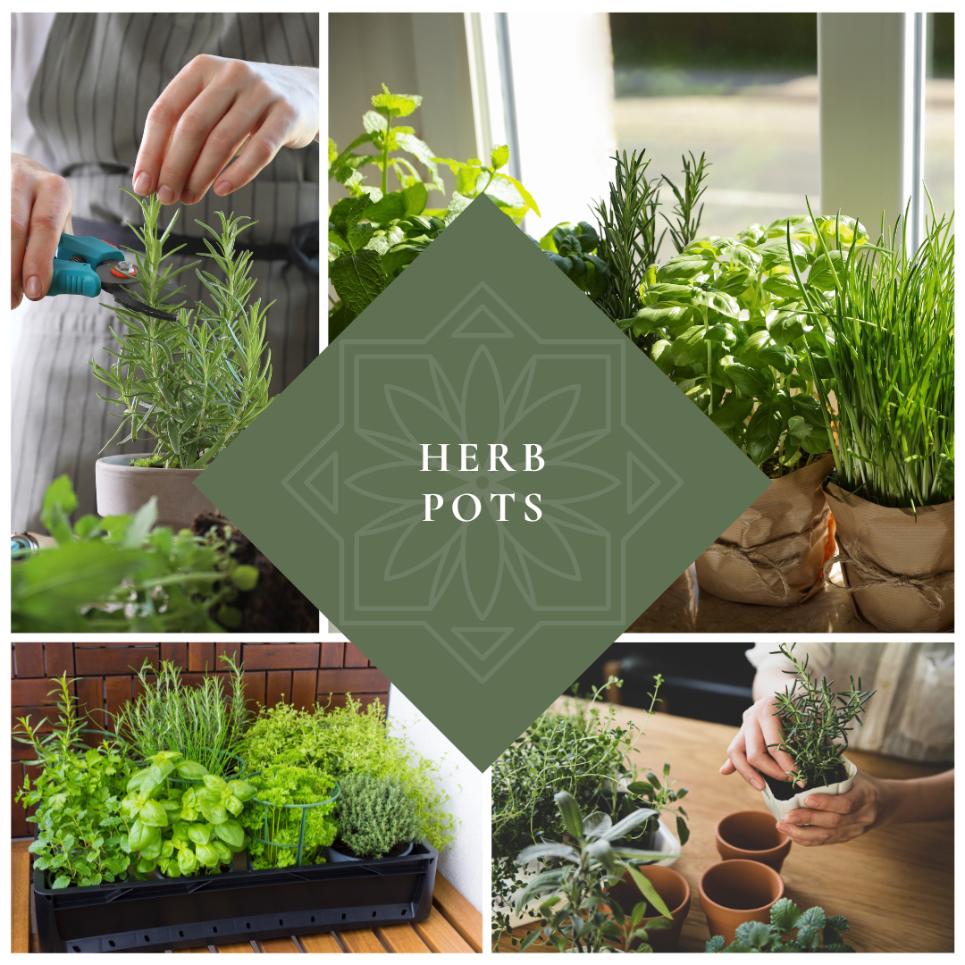 Spring Entertaining Workshop.png