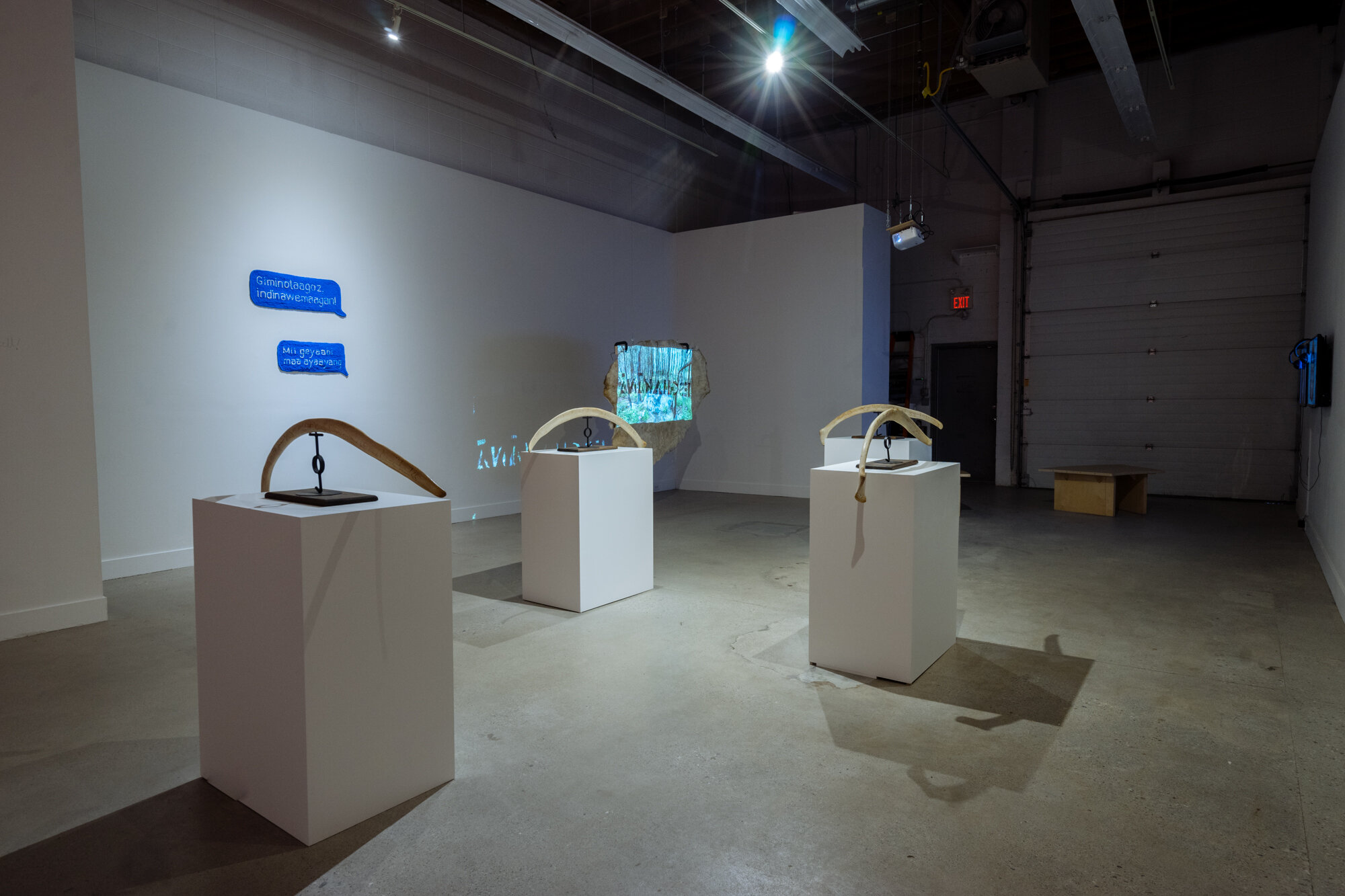 Installation view, 2019. Photo by Elyse Bouvier. 