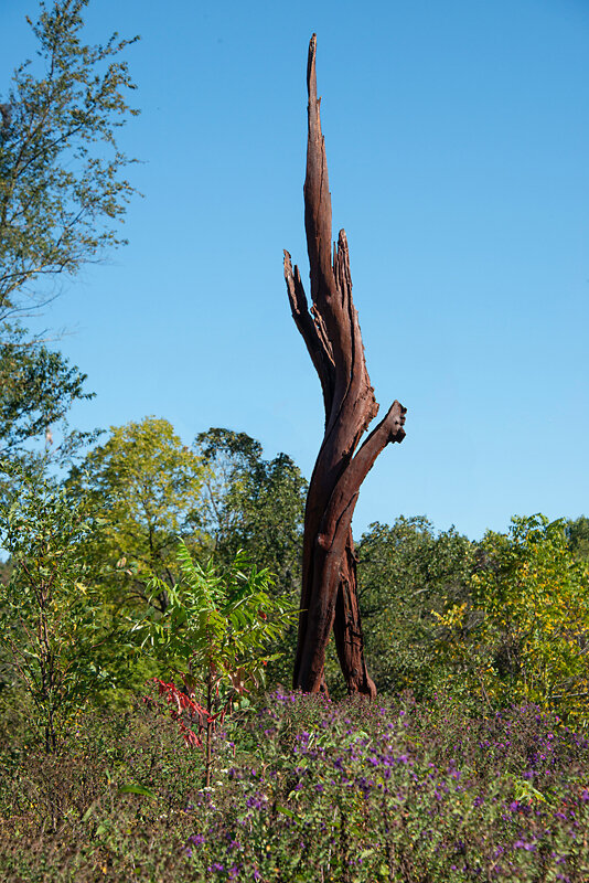 John Ruppert Sculpture - Cherry Tree Strike