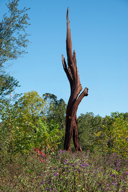 CHERRY TREE STRIKE