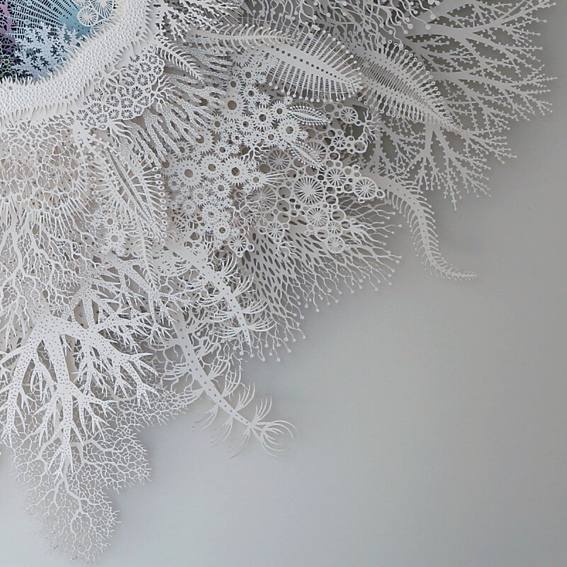 Rogan Brown Paper Sculpture - Ghost Coral Colour Variation, 2020