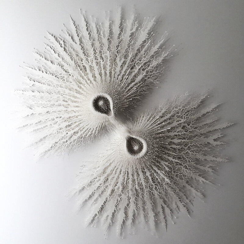 Rogan Brown Paper Sculpture - Cytokinesis, 2019