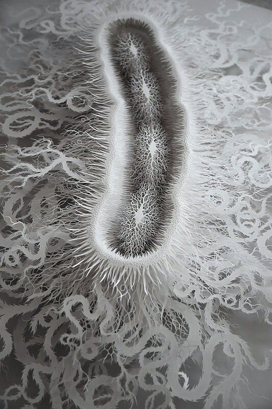 Rogan Brown Paper Sculpture - Cut Microbe, 2015