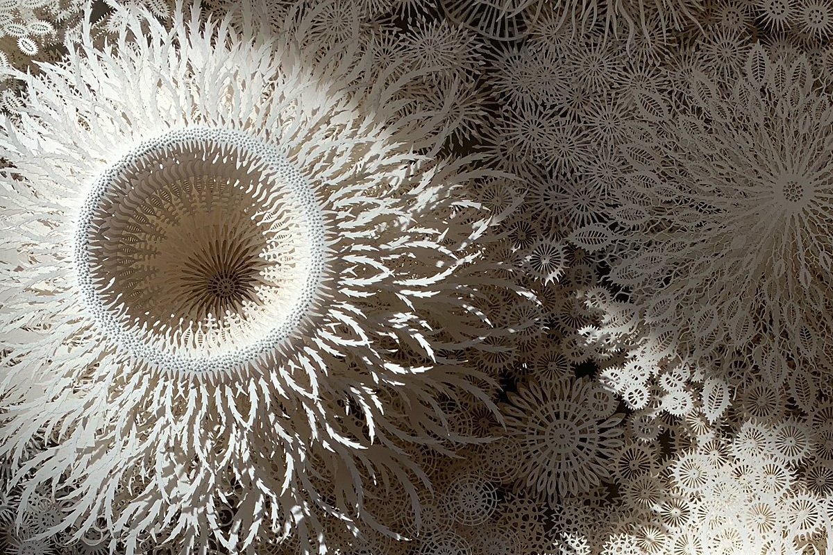Rogan Brown Paper Sculpture - Coral Mandala 2, 2022