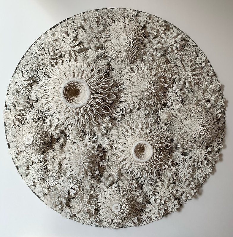 Rogan Brown Paper Sculpture - Coral Mandala 2, 2022