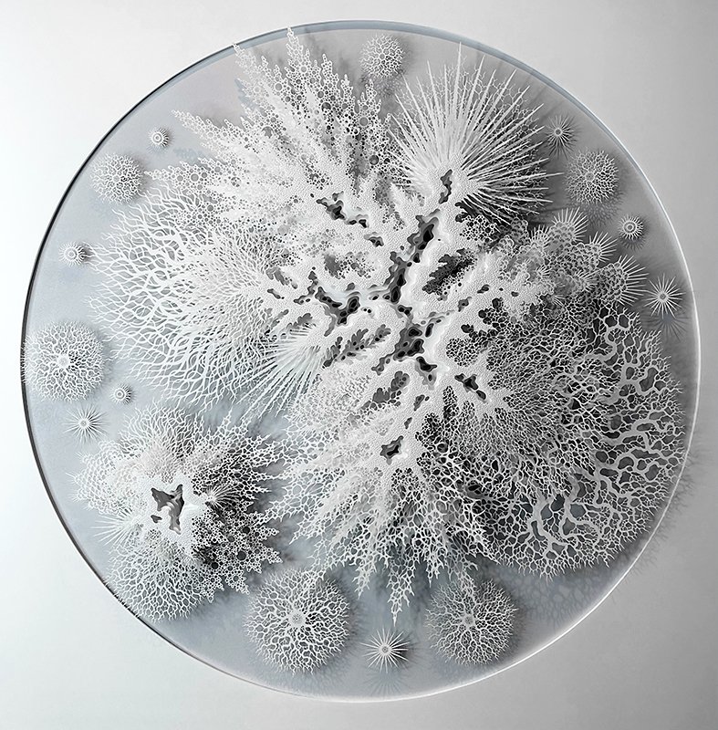 Rogan Brown Paper Sculpture  - Cell Colony.jpg