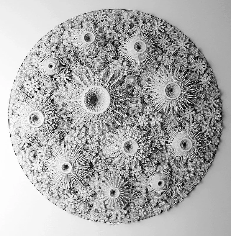 Rogan Brown Paper Sculpture - Magic Circle Variation.jpg