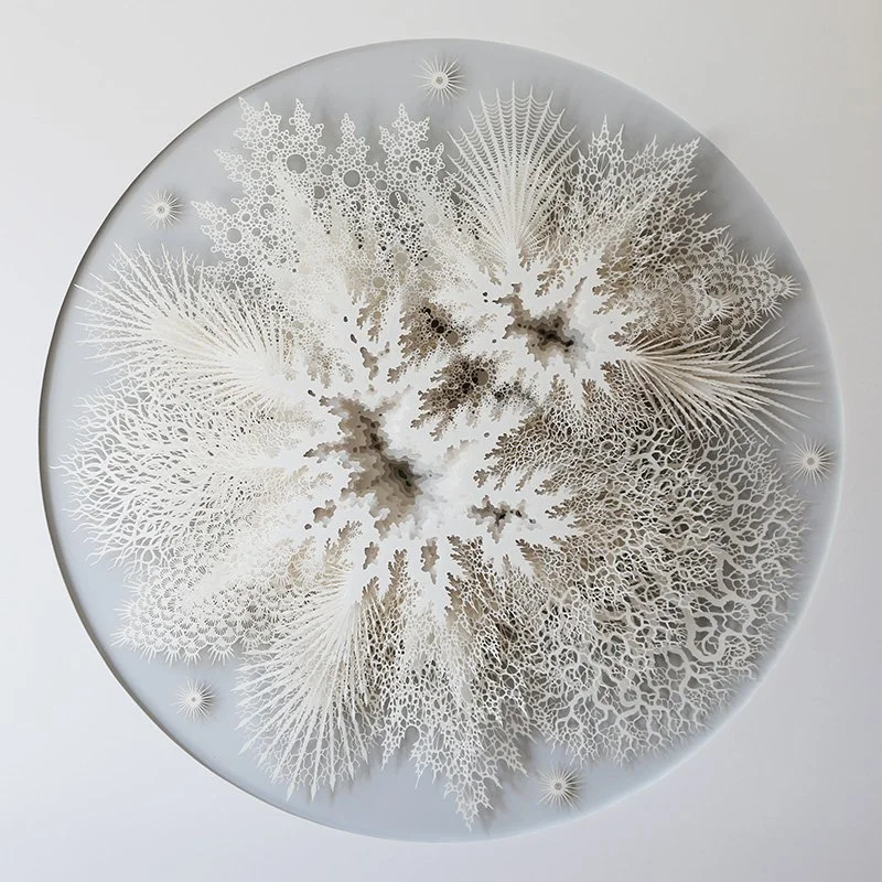   Rogan Brown Cell Colony , 2024  Hand and laser cut paper 25" x 25" x 5" framed   $8,500  