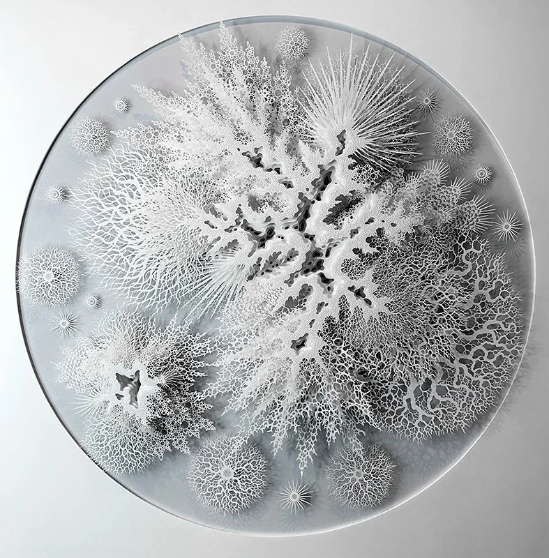  Rogan Brown Cell Colony , 2024  Hand and laser cut paper 25" x 25" x 5" framed   $8,500  