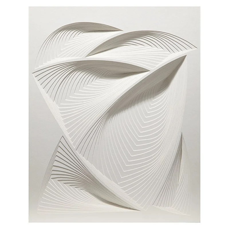   Elizabeth Gregory-Gruen White Free Form - In , 2014  2-ply museum board, hand cut paper, framed in white wood shadow box 24" x 20" 