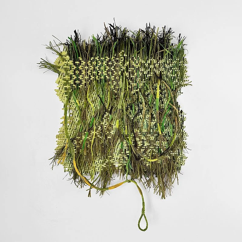   Libby Raab Woven Wilderness , 2026  Cold press fine art paper and paper raffia mounted on wood board 28" x 26" framed 