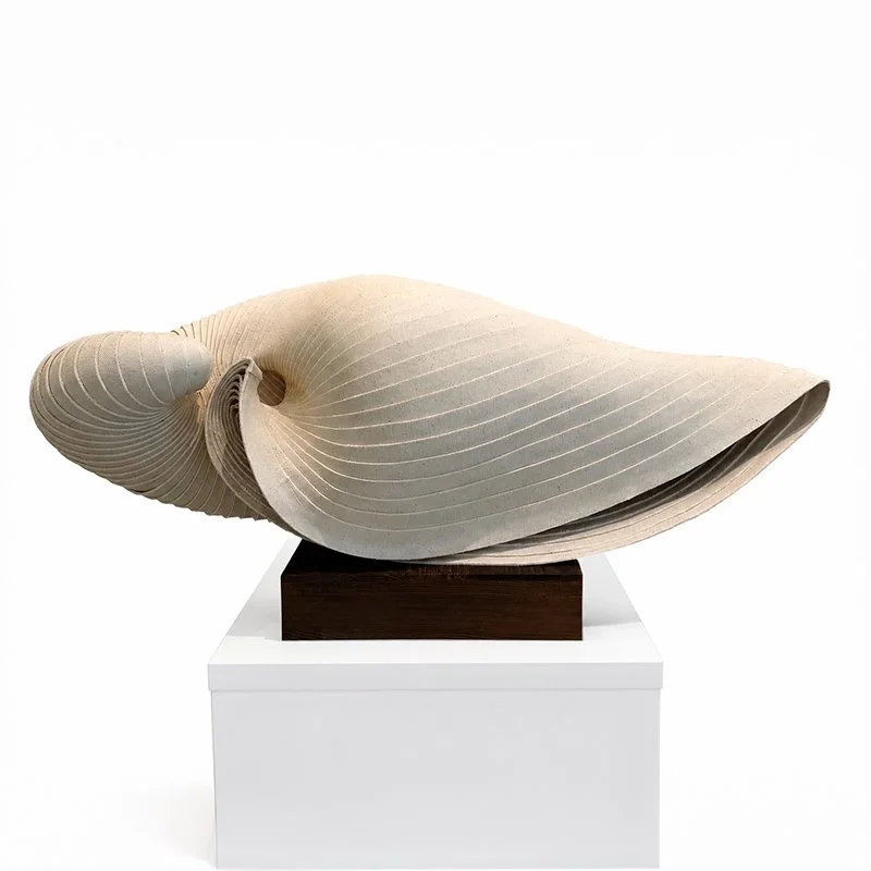   Mercedes Vicente Veluma , 2026  Canvas 10" x 26" x 9" 