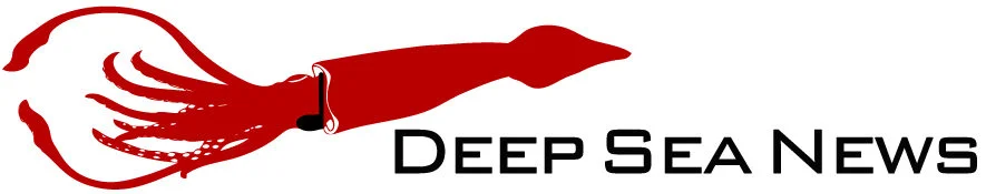 cropped-dsnbanner.jpg