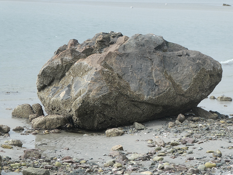 NahantBoulder2.jpg