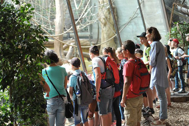 Tschernobyl-ausflug-zoo.jpg