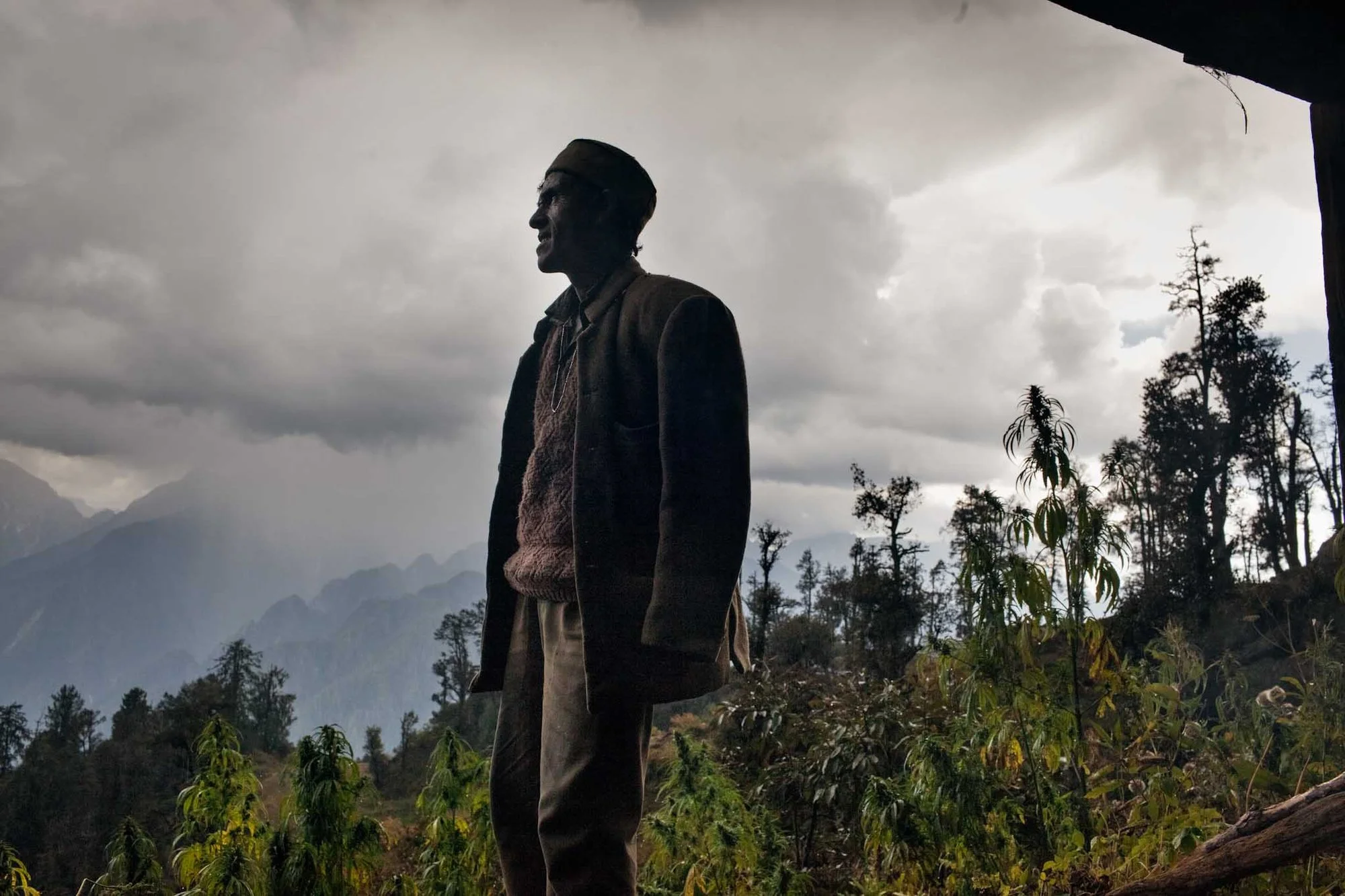 Indica at 9,000 Feet