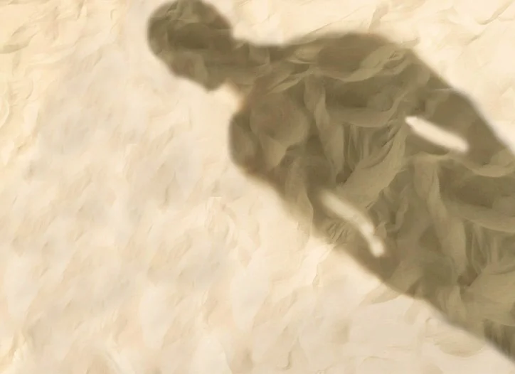 Derek Lam S-S 2010 Ginta Lapina by Solve Sundsbo 1.jpeg