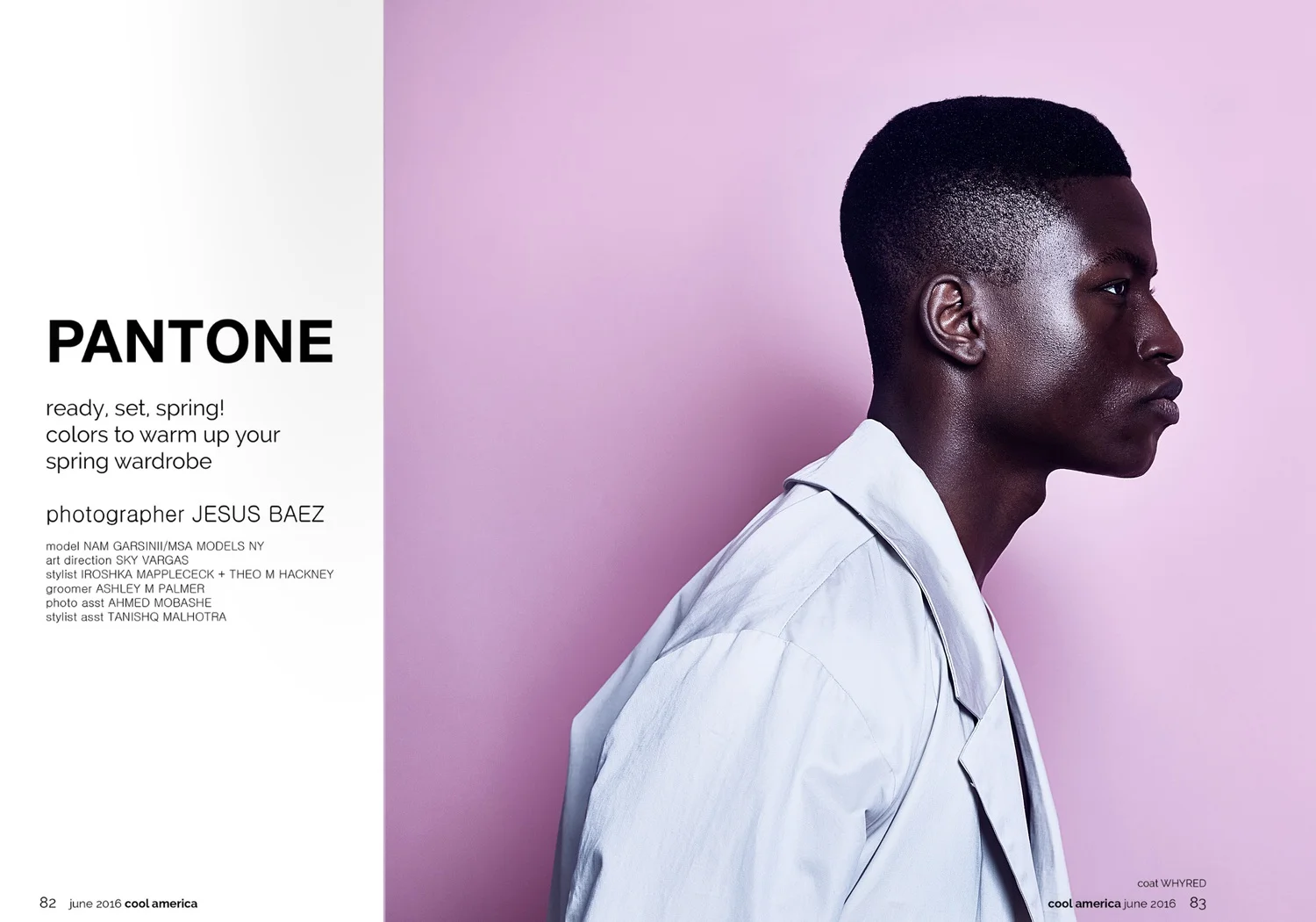 sky vargas cool america pantone 1.jpg