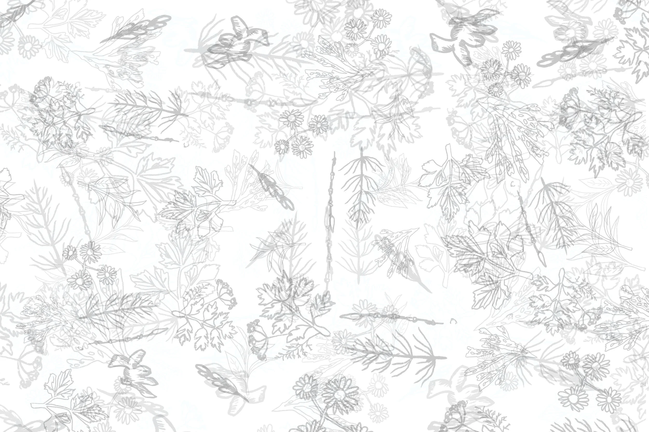 THC wallpaper.jpg