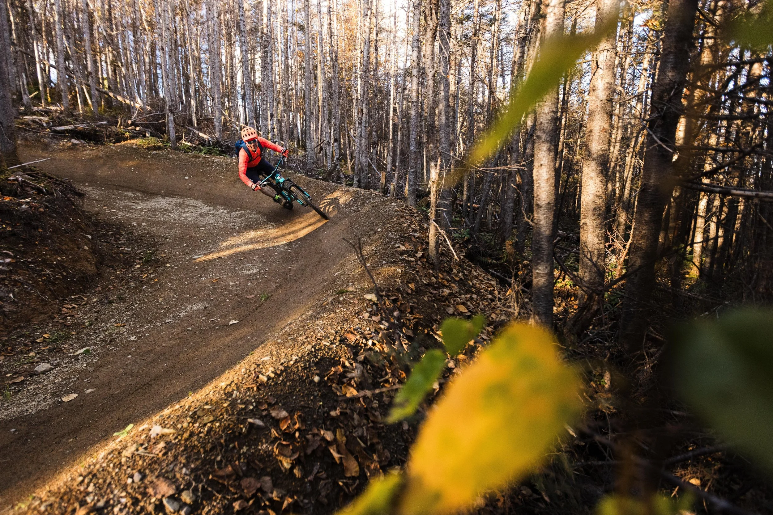 A mountain biker wearing a pink helmet and red jacket rides a dirt trail through a forest of tall, leafless trees during daytime.