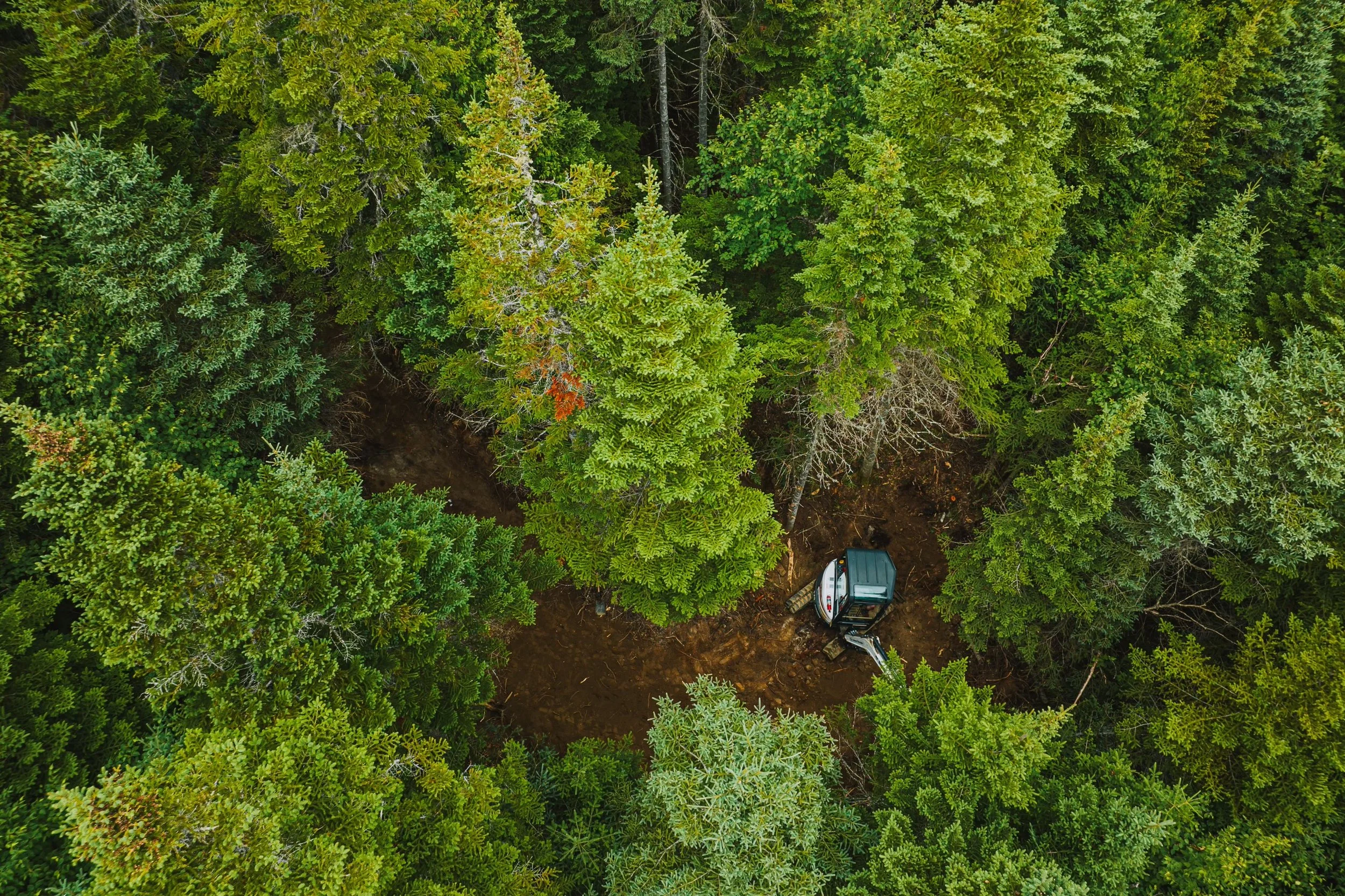 An aerial view of a dense forest with green trees, showing a piece of construction equipment working on the ground.