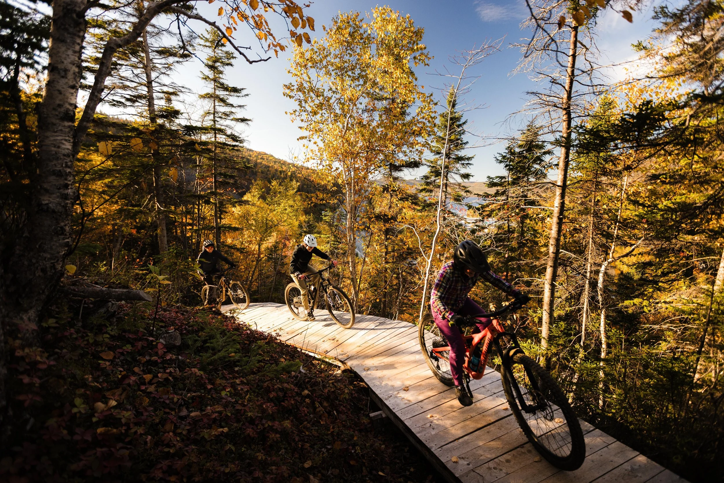 Three mountain bikers riding on a wooden trail through a forest with autumn foliage.