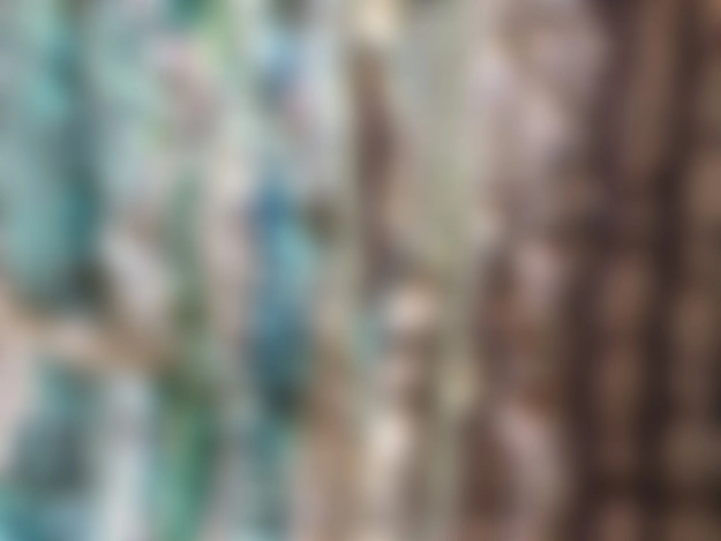kbp%2Bweaving.jpg