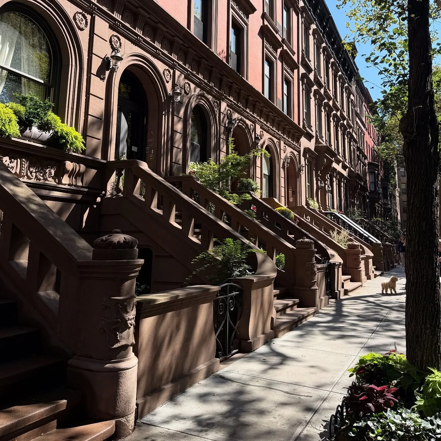 NYC trip photo dump: Thanks to everyone who helped me get on shows and those who gave me a place to stay. I can&rsquo;t thank you enough for helping to make my first comedy trip to NYC a great one. For those that ignored my requests, you will rue the