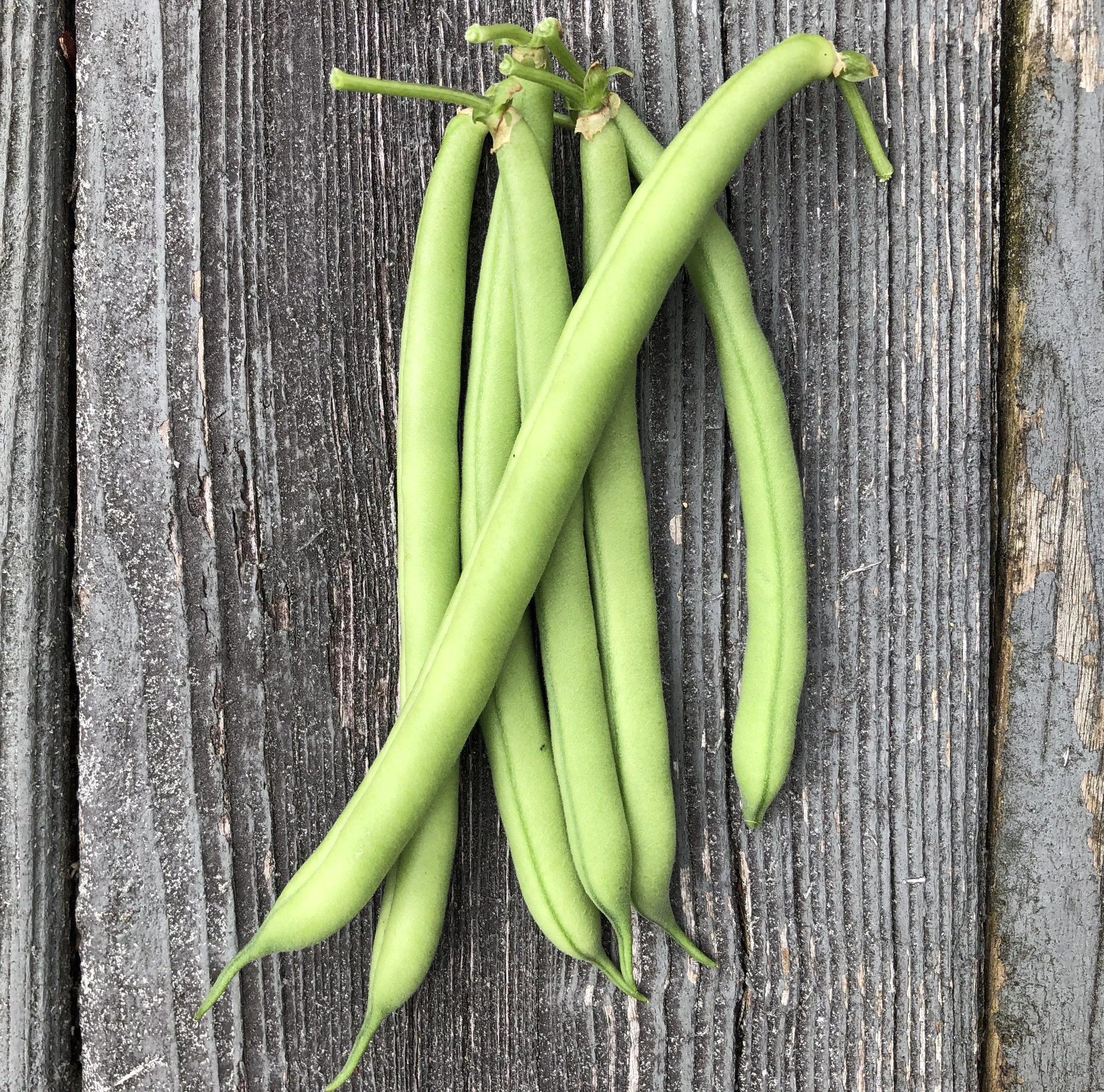 Bean, Provider