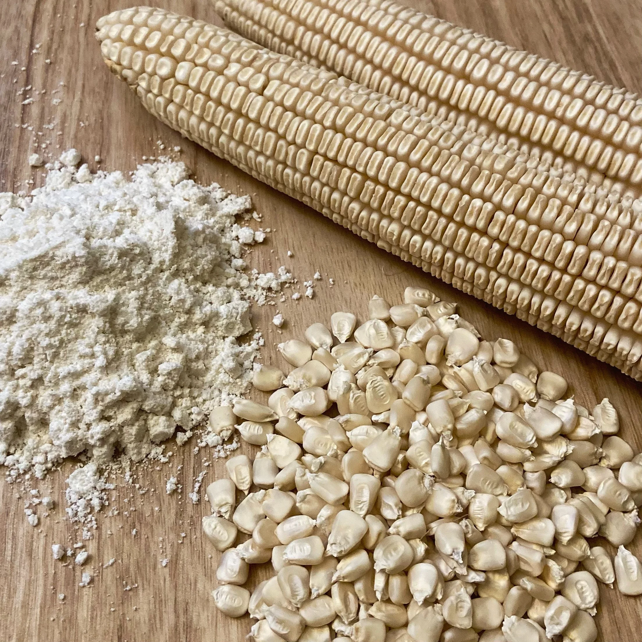 Cocke's Prolific Dent Corn — Antisana Seed Company