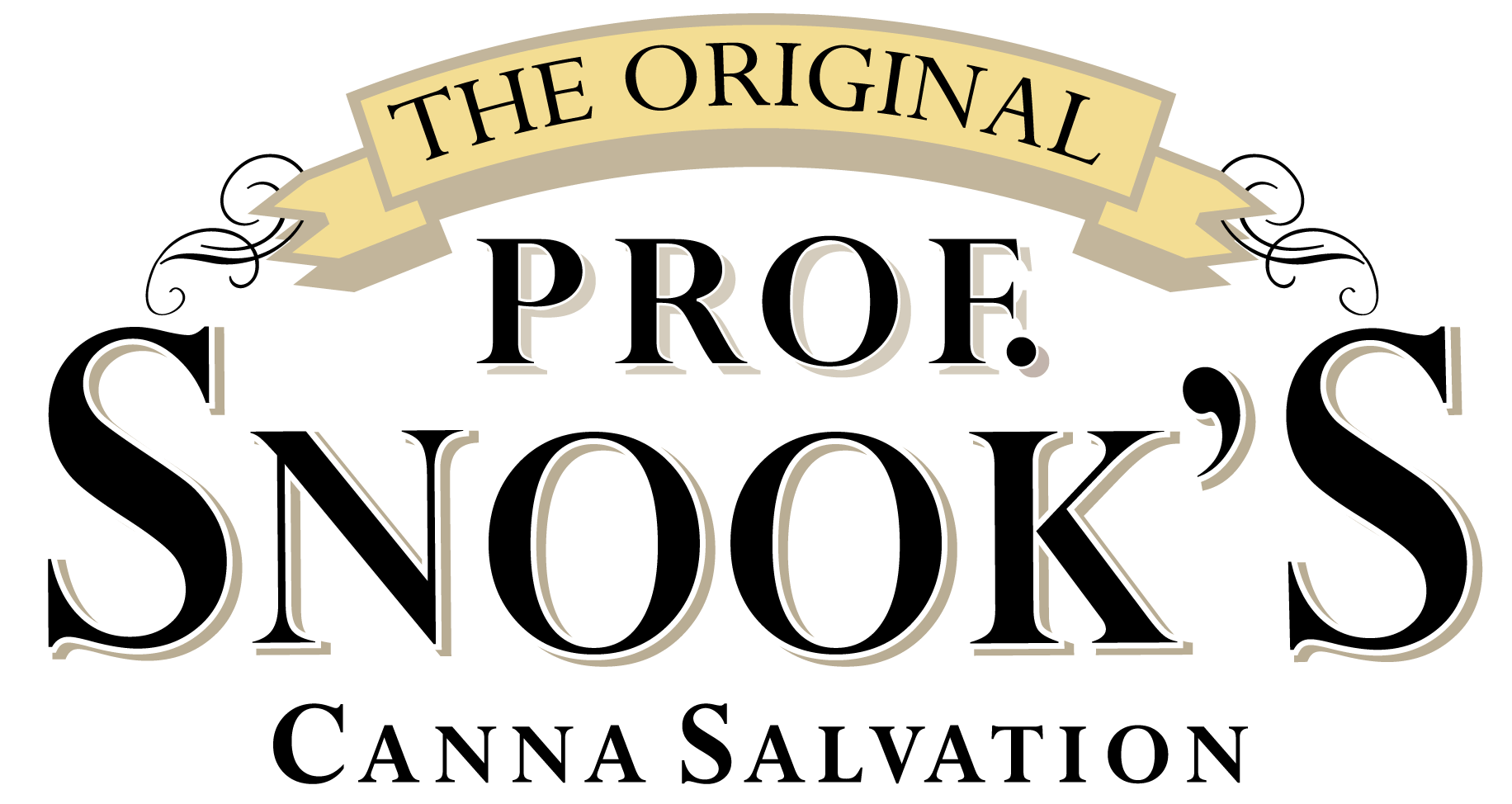Prof.Snook_Logo.png