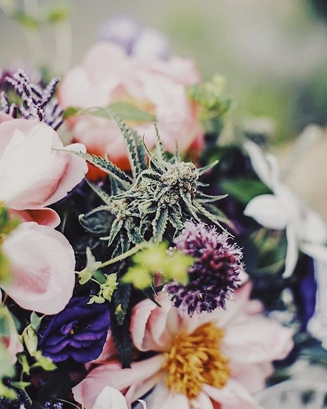 Isn&rsquo;t she lovely? 💐 Restore your faith in the planet by deepening your connection with the natural world surrounding us. Adorning our #FFFevents with charming flower arrangements, Humboldt Farms (@humfarms) inspires the mind by providing the w