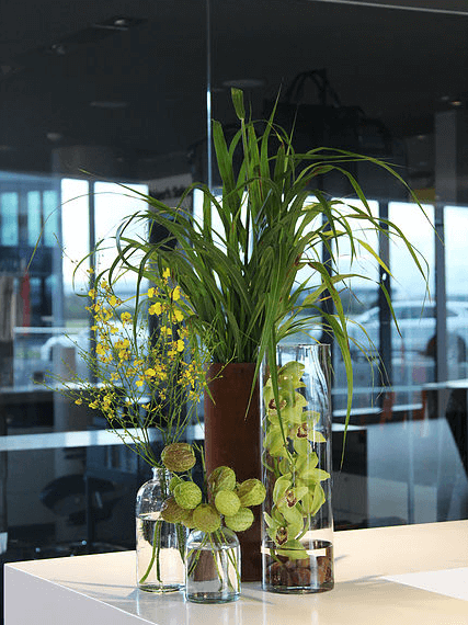 atlanta-florist-buckhead-4.png