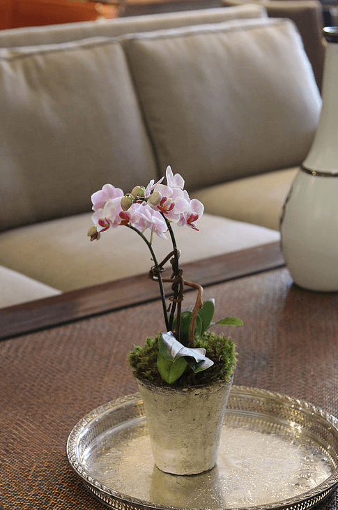 orchid-delivery-atlanta-4.png