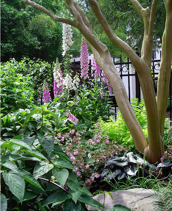 garden-design-atlanta-buckhead-1.png