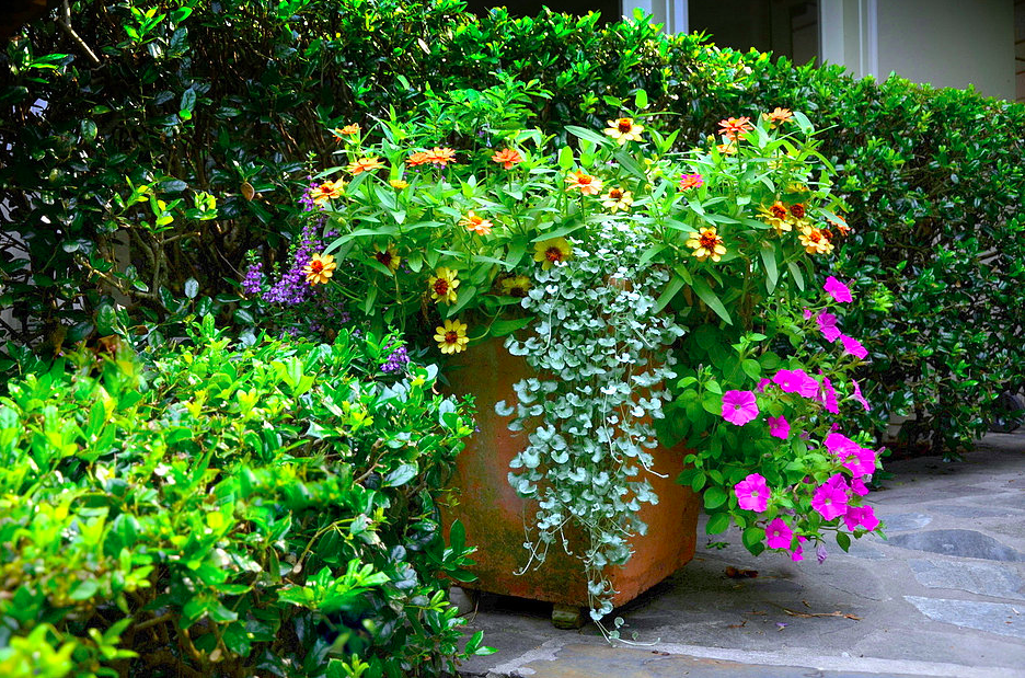 garden-design-atlanta-buckhead-18.png