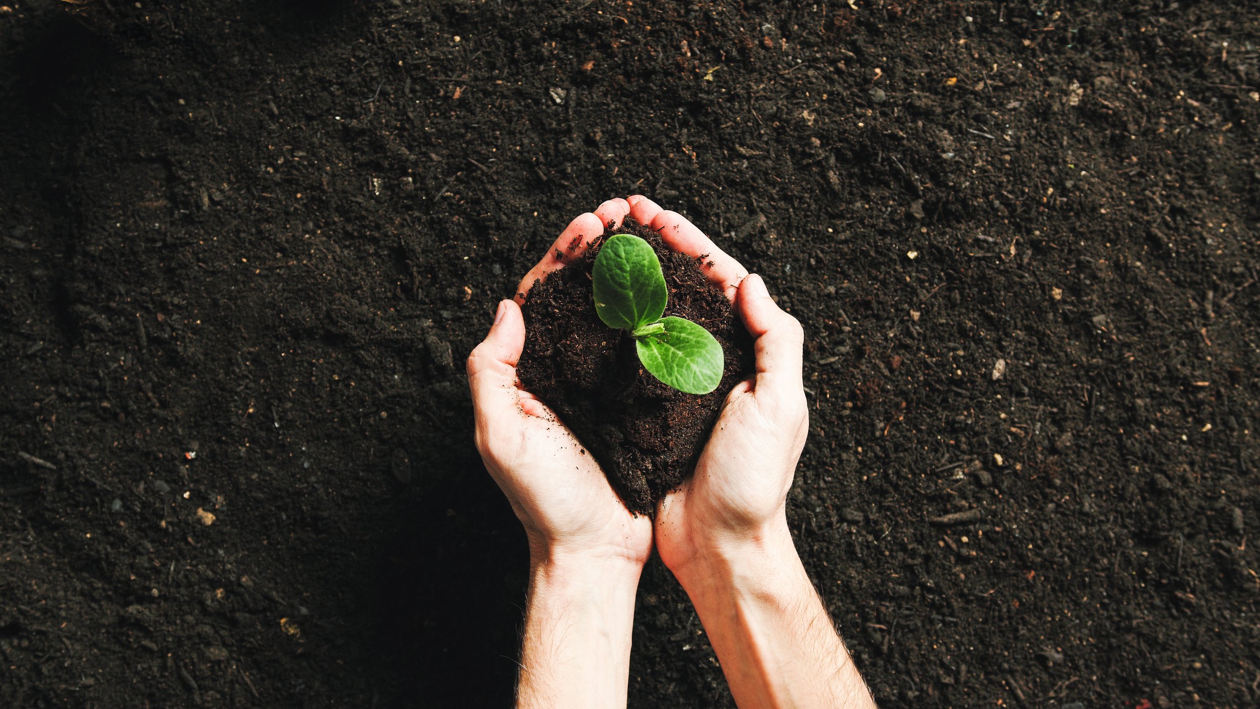 How to Build a Trademark Portfolio for a Growing Brand