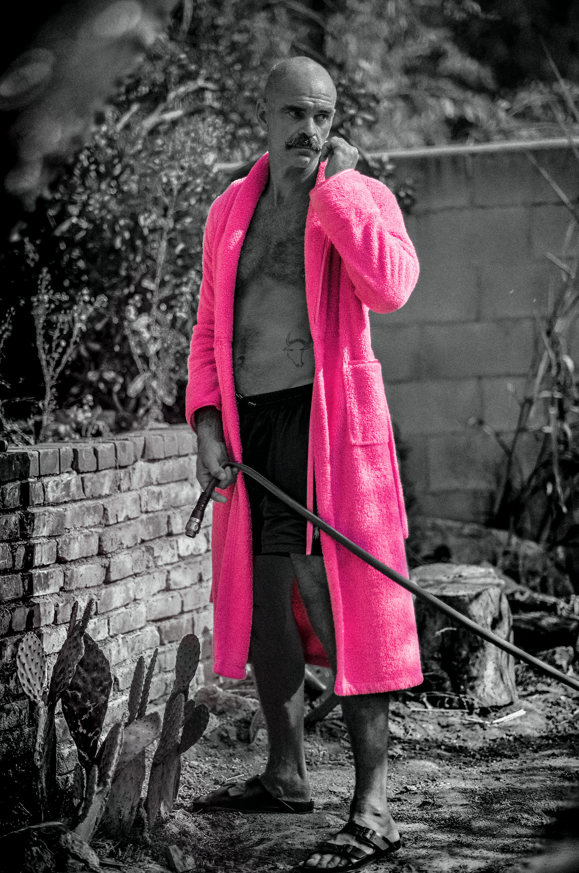 Screen Shot 2022-02-09 at 3.11.18 AM.png