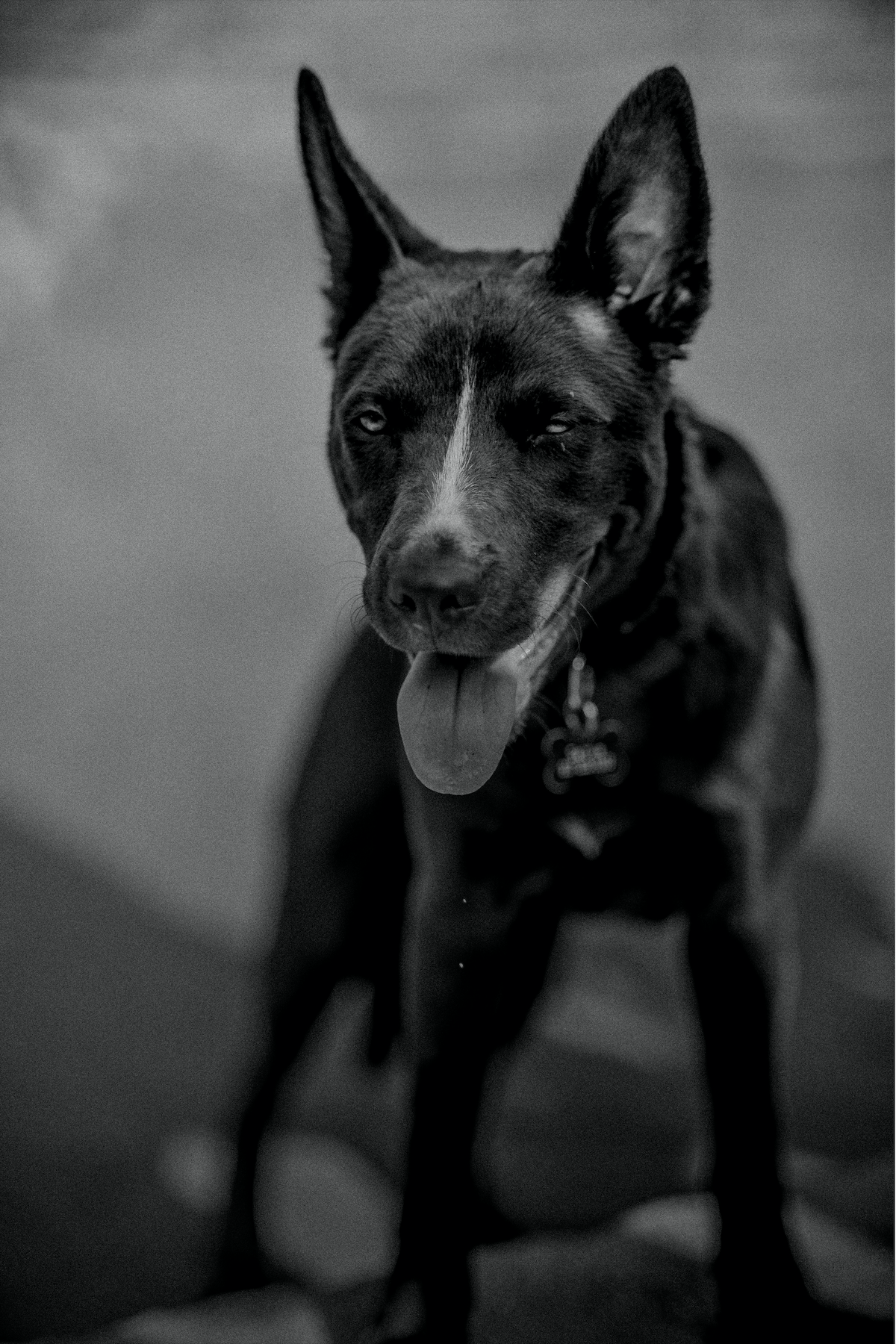 Screen Shot 2022-02-09 at 3.11.37 AM.png