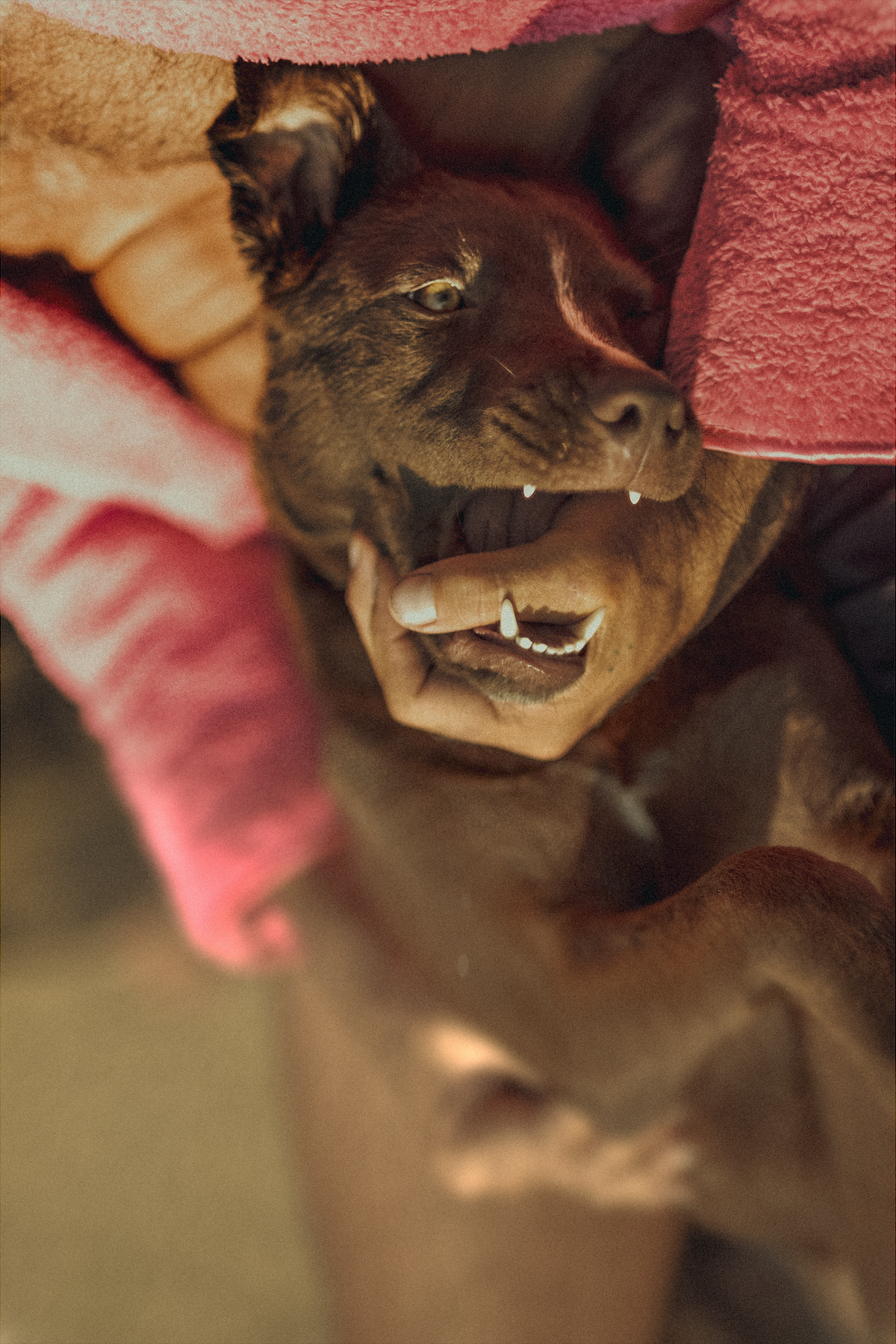 Screen Shot 2022-02-09 at 3.13.04 AM.png