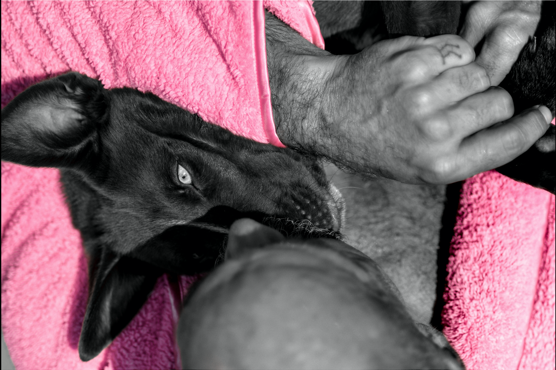 Screen Shot 2022-02-09 at 3.11.49 AM.png