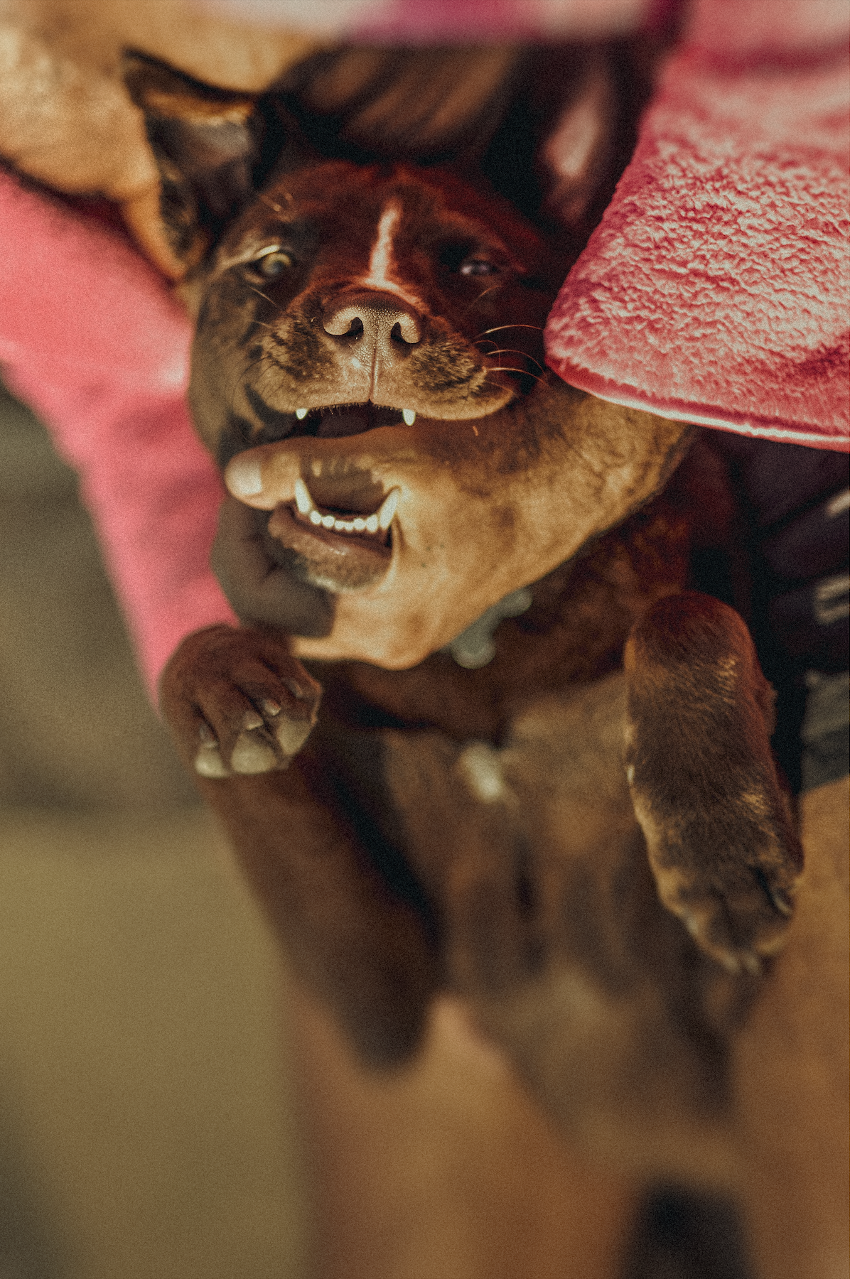 Screen Shot 2022-02-09 at 3.13.12 AM.png