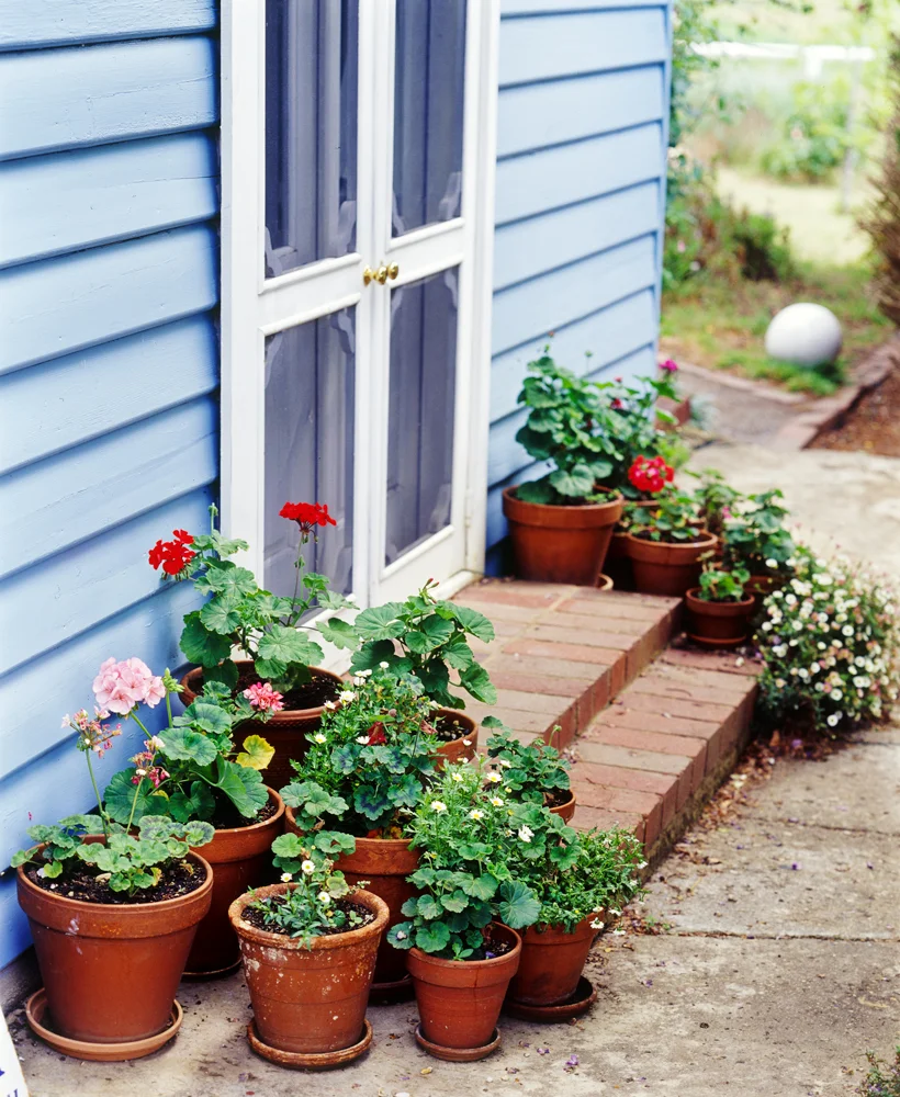 Entrances-To-Homes.jpg
