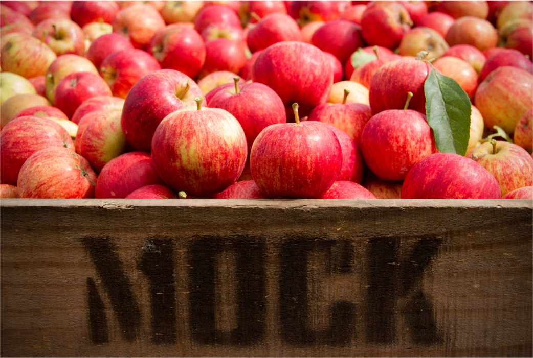 Certified Bio-Dynamic Apples from Mock Orchard in Red Hill, Vic (Mornington Peninsular)