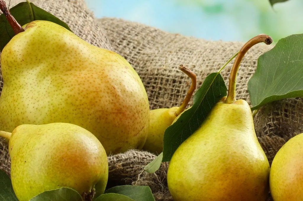 Certified Bio-Dynamic Pears from Greenwood Orchard in Merrigum, Vic (Est 1906)