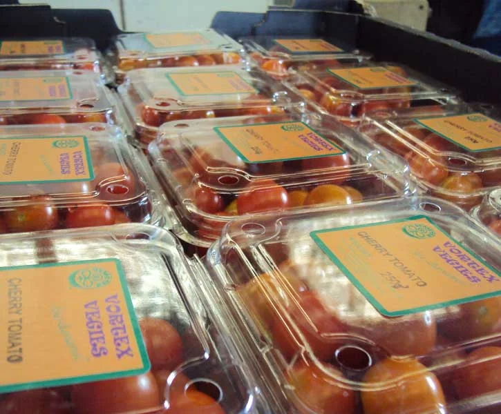 Certified Bio-Dynamic Tomatoes from Vortex Veggies in Inverleigh, Vic (Local Region)