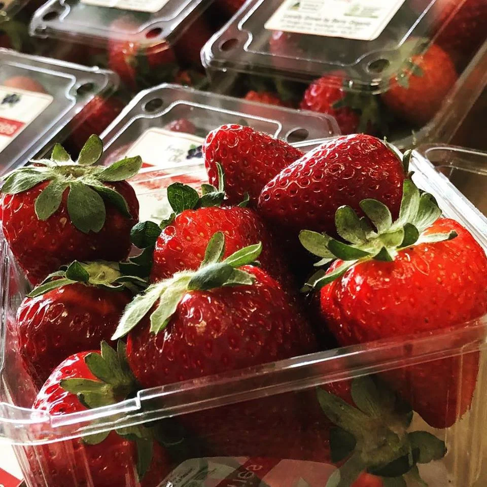 Certified Organic Strawberries from Suzanne at Berry Organic in Inverleigh, Vic (Local Region)