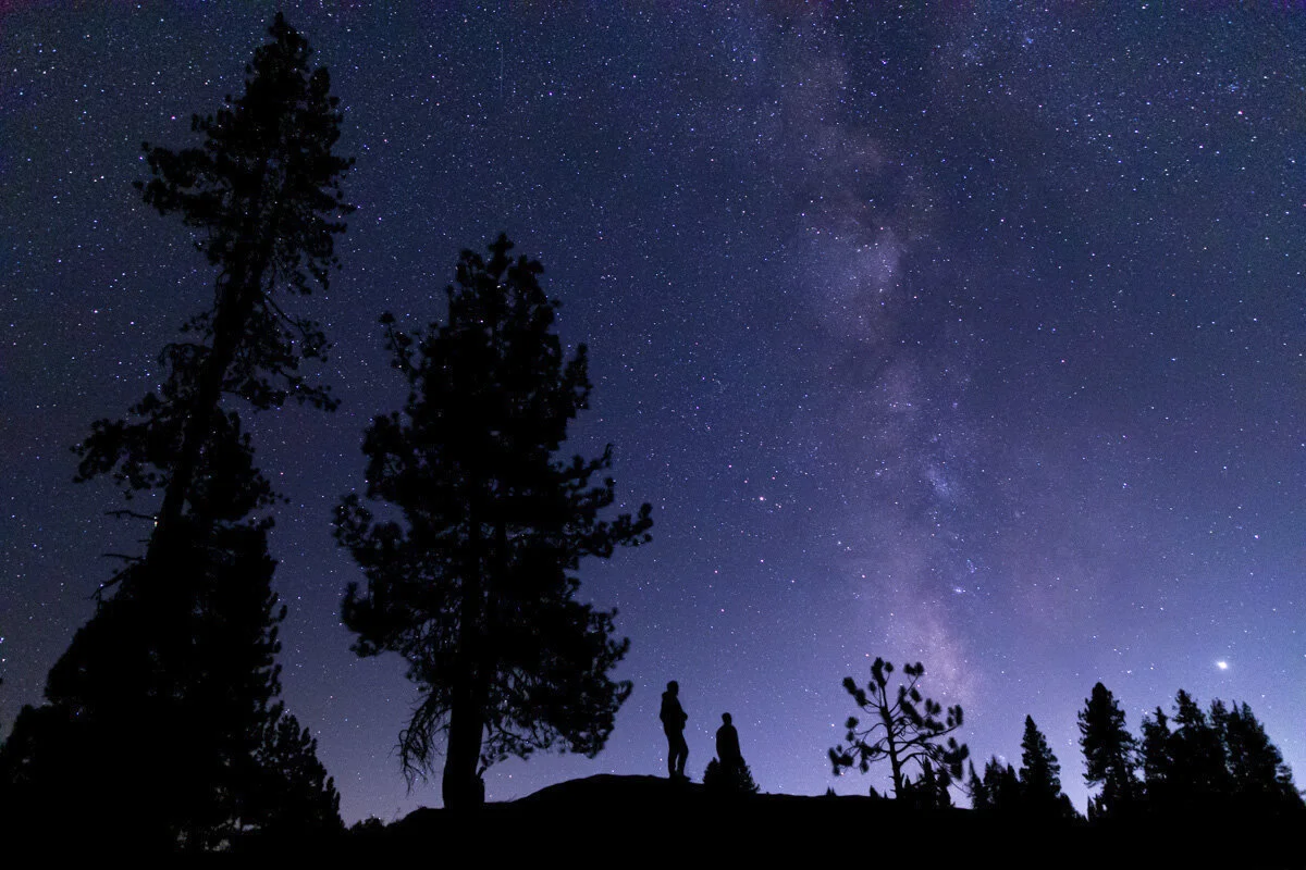 Milky Way Tree_1200.jpg