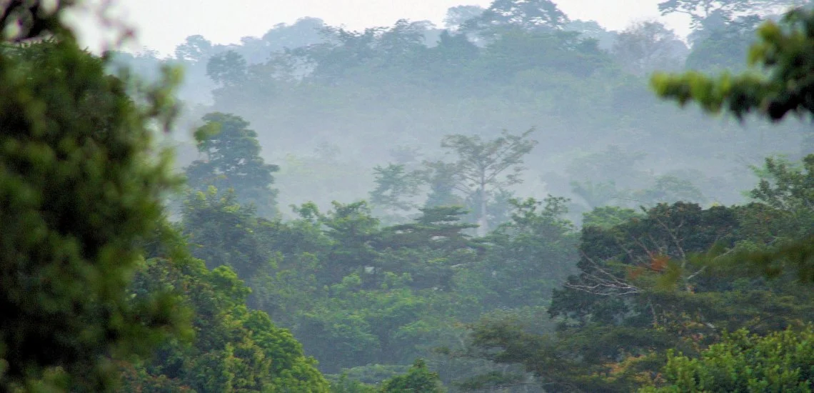 forests_and_woodlands_ashanti_region_south_ghana.jpg