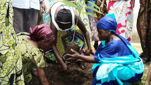 women_in_DRC_-_reforestation.jpg